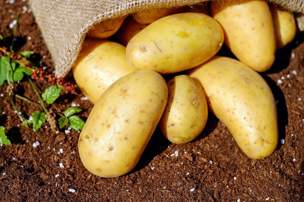 how long do potatoes last?