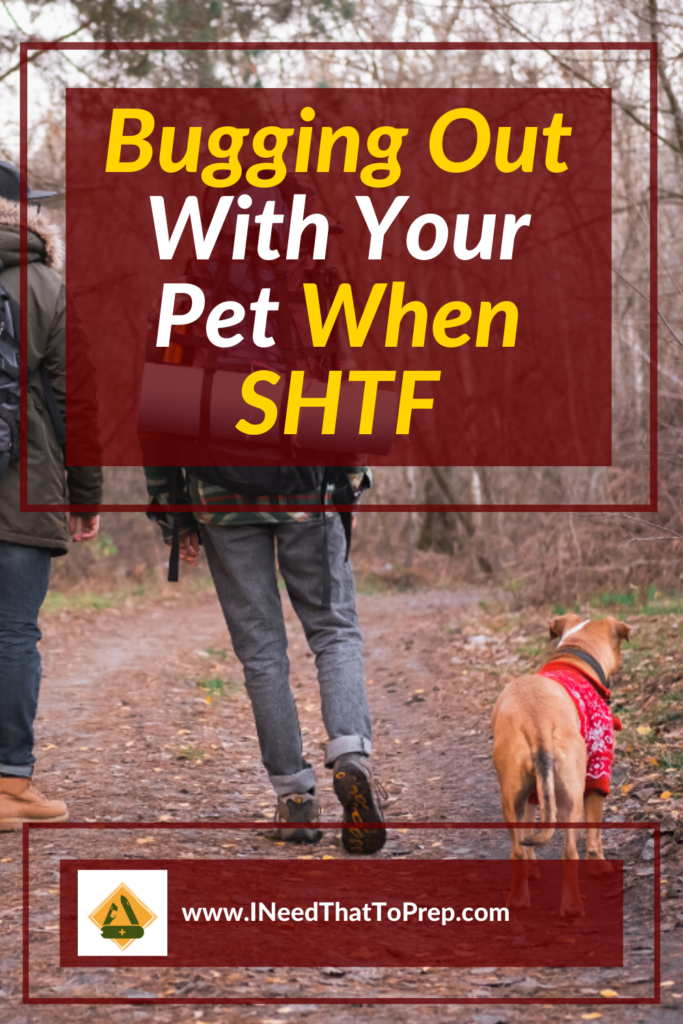 bugging out with your pet when SHTF