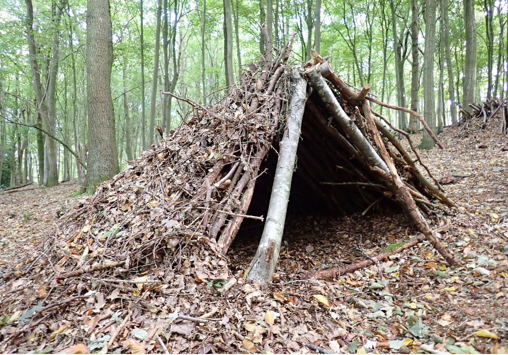 how to build a survival lean to shelter in the woods