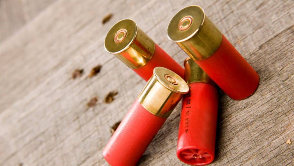 ammunition for survival shotgun
