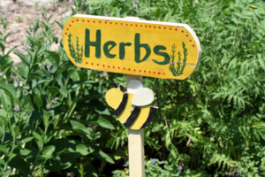 growing herb gardens
