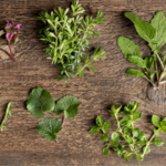 10 Edible Wild Plants You Can Find in Your Backyard