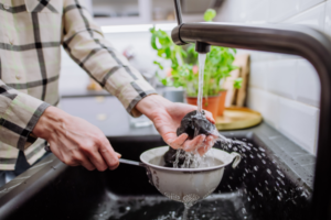 how to use shungite to purify water
